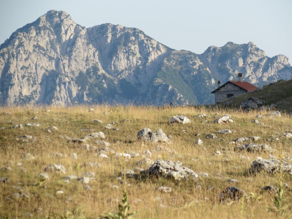 Bio Agriturismo Valle Scannese Villa สกันโน ภายนอก รูปภาพ